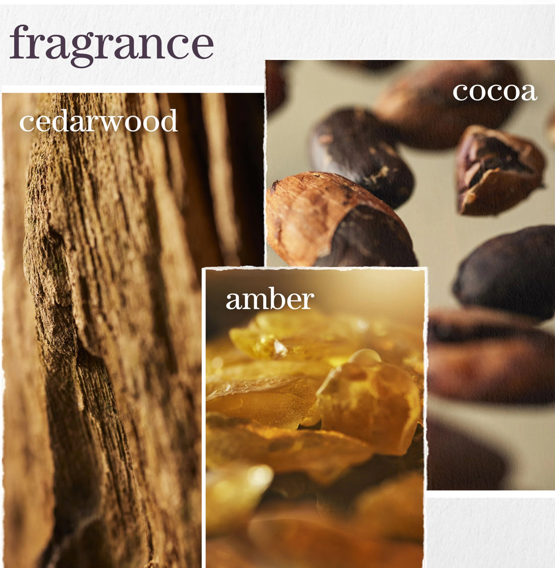 SMOOTH PERFECTION SHAMPOO