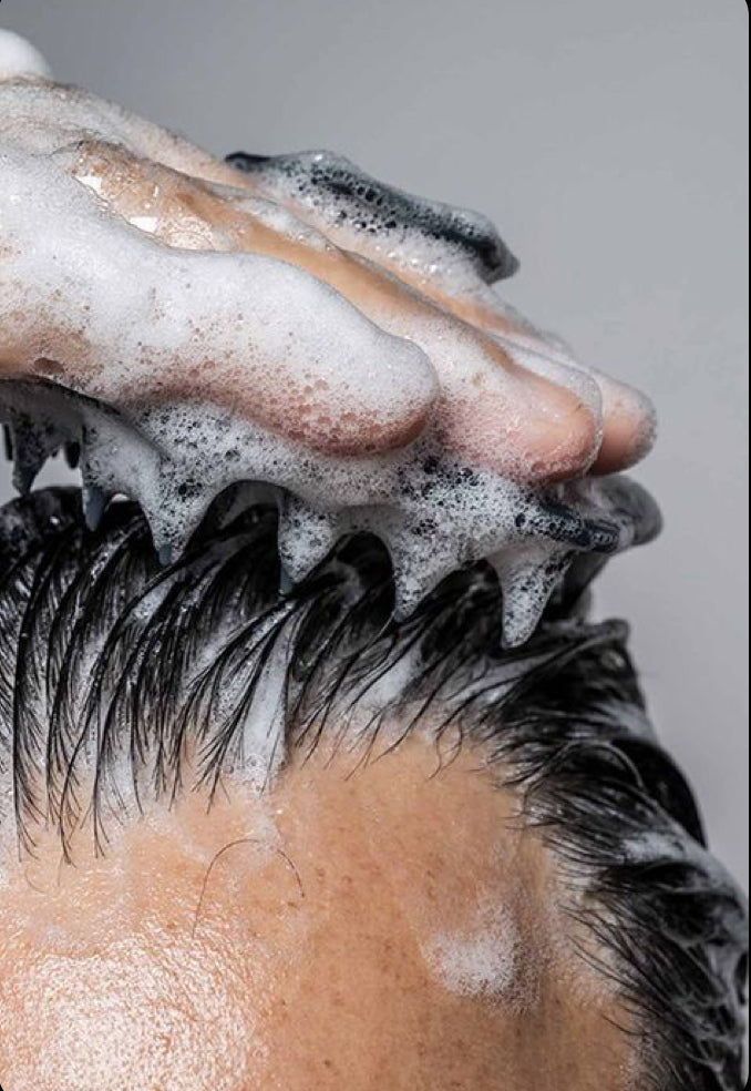 DAILY NOURISH SHAMPOO