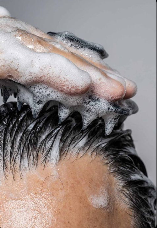DAILY NOURISH SHAMPOO