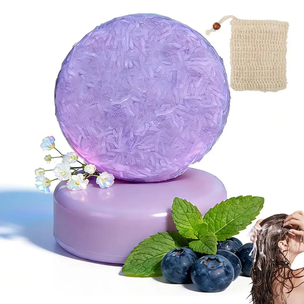 Blueberry Shampoo & Conditioner Bundle Bar for Hair Thinning Frizz, Blueberry Solid Shampoo & Conditioner Strengthen Hair Care
